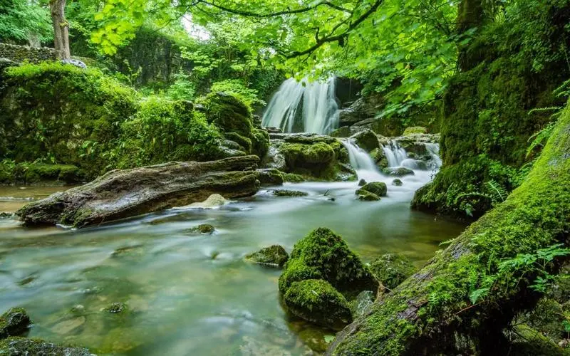智能系统先进